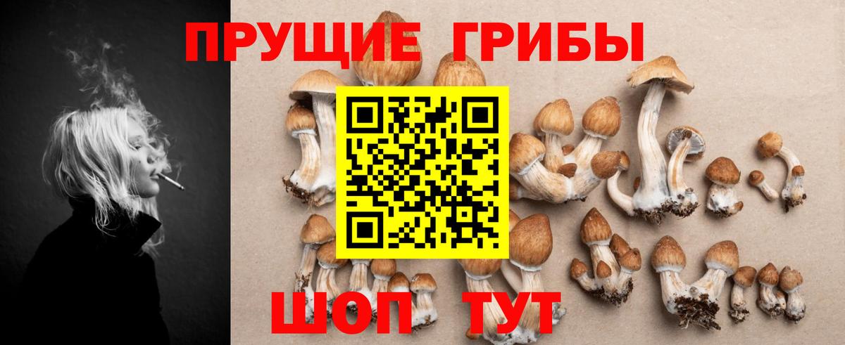 Калач-на-Дону  как найти   Вход с VPN  Псилоцибиновые грибы прущие грибы  Псилоцибиновые грибы Cubensis 